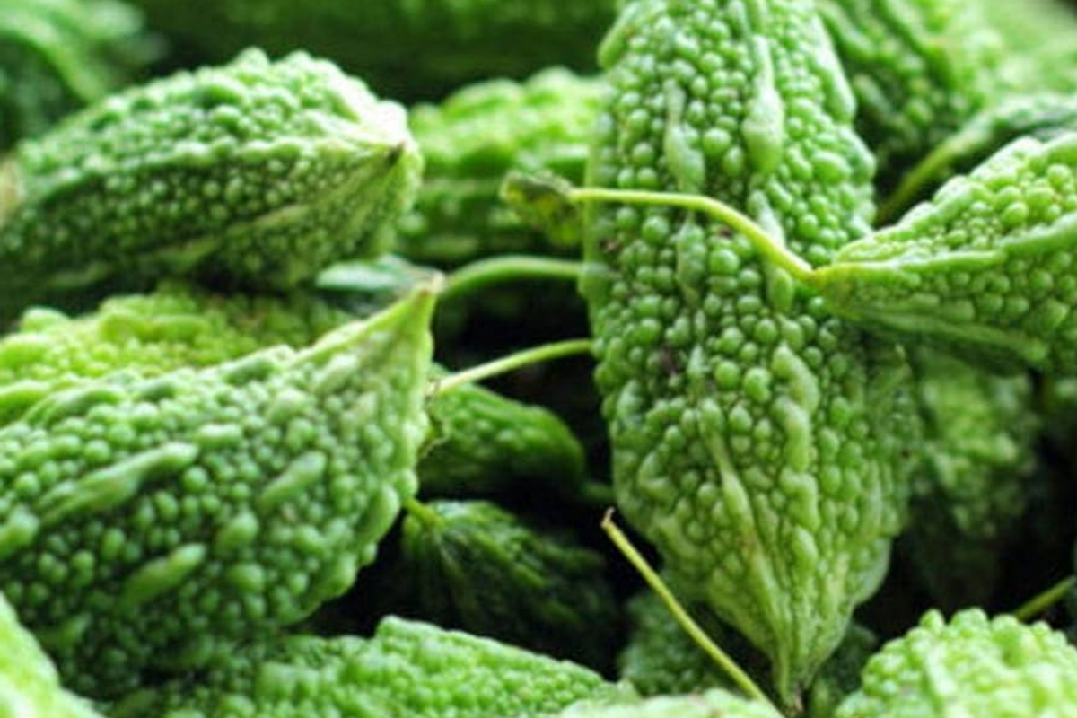 Bitter Gourd 5 Seeds | Green Skin Long Bitter Melon Seeds | Momordica charantia