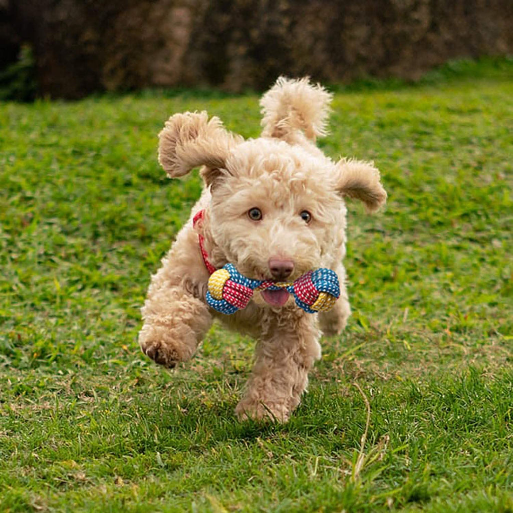 7-Piece: Puppy Cord Chew Toys