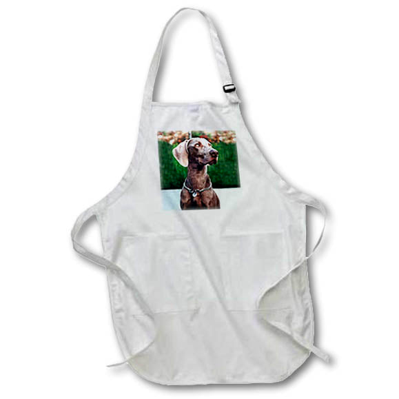 3dRose Dogs Weimaraner - Weimaraner - Aprons (apr_1095)