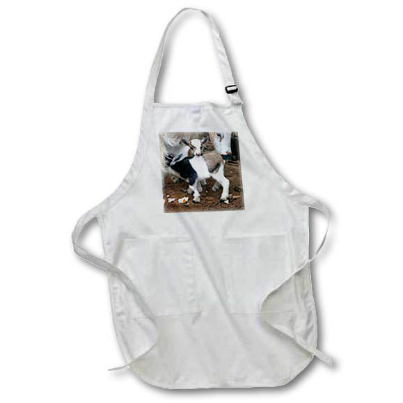 3dRose apr_1285 Farm Animals - Pygmy goat family - Aprons
