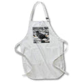 3dRose RONI Chastain Animals - NYC Pigeon Sitting ON A Bicycle - Aprons (apr_173641)