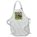 3dRose Danita Delimont - Jaynes Gallery - Animals - USA, Minnesota, Sandstone. Groundhog - Aprons (apr_190778)