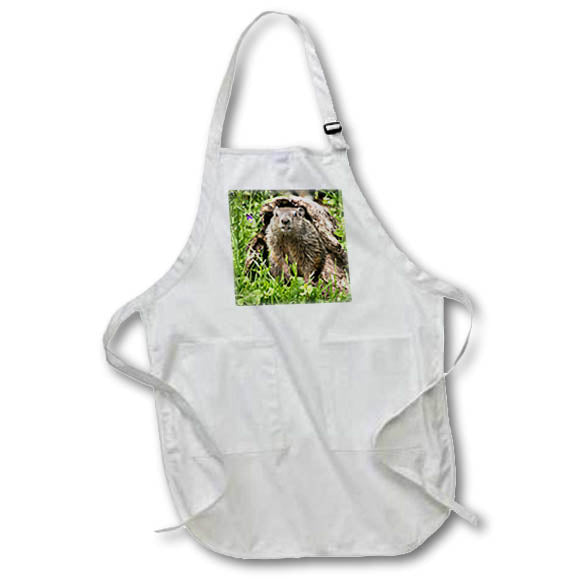 3dRose Danita Delimont - Jaynes Gallery - Animals - USA, Minnesota, Sandstone. Groundhog - Aprons (apr_190778)