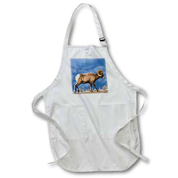 3dRose Danita Delimont - Sheep - Bighorn Sheep ram in Yellowstone National Park, Wyoming, USA. - Aprons (apr_206617)