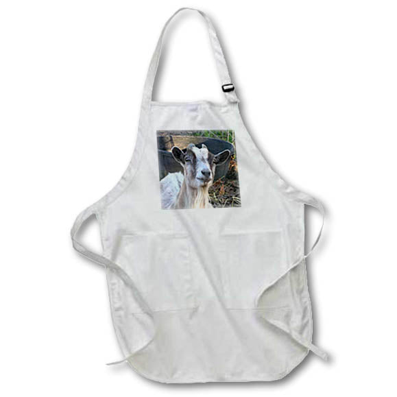 3dRose Jackie Popp Nature N Wildlife animals - Grey and white goat - Aprons (apr_21058)