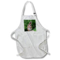 3dRose Unisex Adult Adjustable