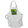 3dRose SmudgeArt Bird Art Designs - Enchanted Bird - Aprons (apr_23314)