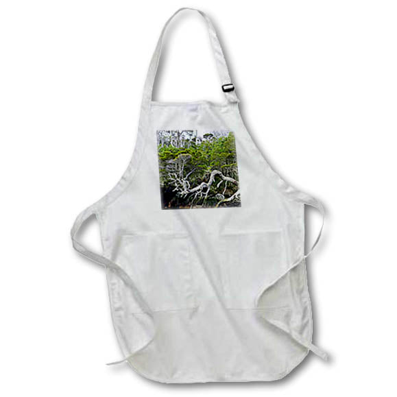 3dRose Kike Calvo Patagonia ISLA DE Los ESTADOS - Hoppner Bay,Staten Island - Aprons (apr_233833)