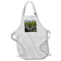 3dRose Kike Calvo Patagonia ISLA DE Los ESTADOS - Hoppner Bay,Staten Island - Aprons (apr_233833)
