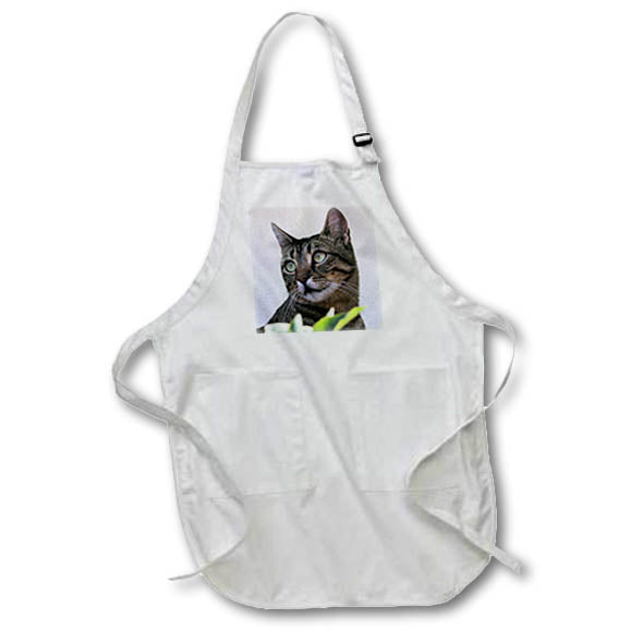 Apron - Cat Tabby Cat Photography