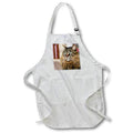 3dRose Cats - Maine Coon - Aprons (apr_305)