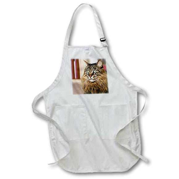3dRose Cats - Maine Coon - Aprons (apr_305)