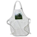 3dRose Patricia Sanders Hawaii - Hawaii Palm Tree Travel Photography - Aprons (apr_31441)