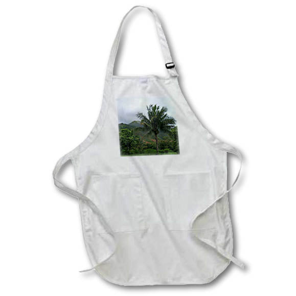 3dRose Patricia Sanders Hawaii - Hawaii Palm Tree Travel Photography - Aprons (apr_31441)
