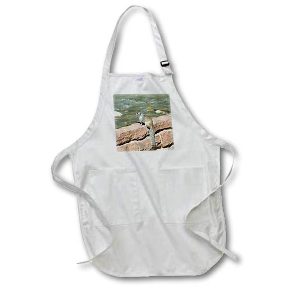 3dRose Apron - Jos Fauxtographee Squirrel Sitting on Block Wall in Zion National Park