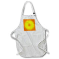 Apron - Image of Color Circle Texture – Colored Textures