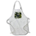 Apron - Image Of Watercolor Pelican Image Of Watercolors