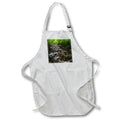 Apron - This is Laurel Fork, a beautiful river along the Appalachian Trail. Designs - Photography