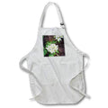 Apron - A beautiful flower photographed while hiking, with digital texture added. Designs - Nature