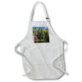 Apron - Beautiful colors shown on trees during the change from summer to fall. Designs - Nature