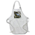 Apron - Photograph of a small turtle spotted on the trail while hiking a canyon. Designs - Animals