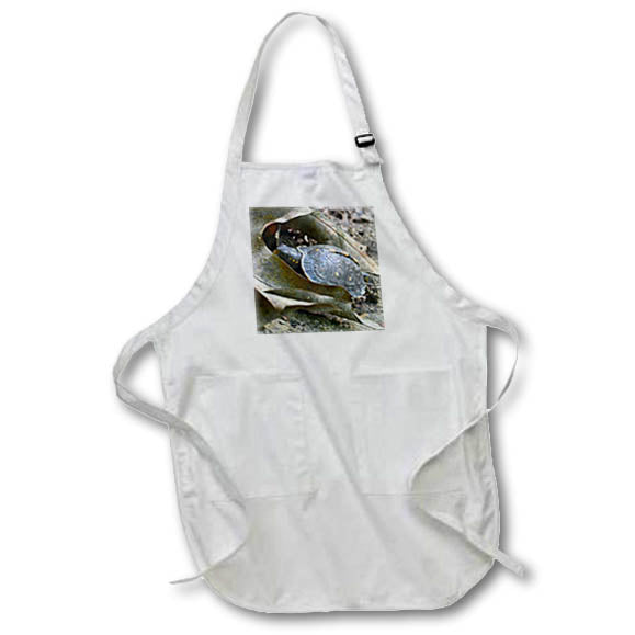 Apron - Photograph of a small turtle spotted on the trail while hiking a canyon. Designs - Animals