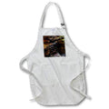 Apron - A macro photograph of the layers of a freshly cut pine tree. Stamp City - nature