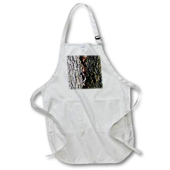 Apron - A macro photograph of bark, leaves, and mossy bark. Stamp City - nature