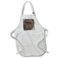 Apron - A macro photograph of a clean cut of loblolly pine. Stamp City - nature