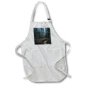 Apron - A photo of a bridge over a creek in the woods during the end of fall. Stamp City - landscape