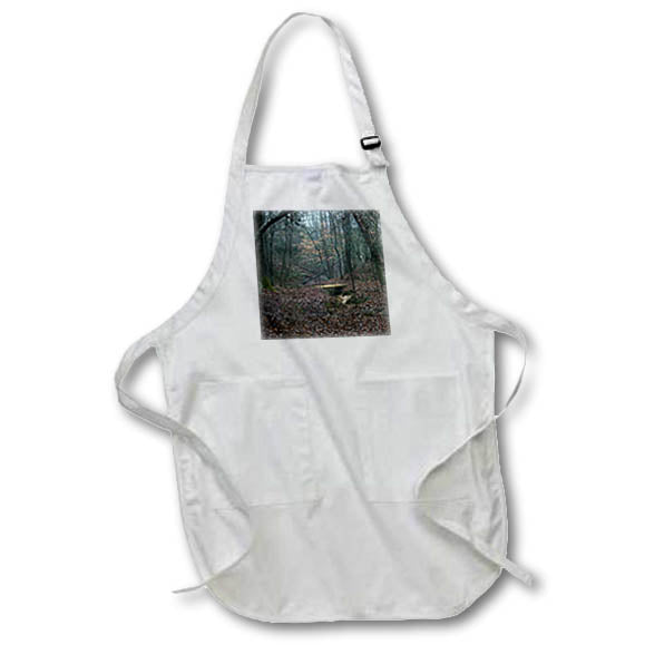 Apron - A photograph of the woods during the fall with a bridge over a creek. Stamp City - landscape