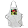 Apron - A macro photograph of the leaves from a double play red spirea bush. Stamp City - plant
