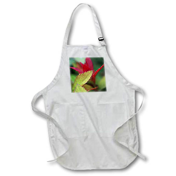 Apron - A macro photograph of the leaves from a double play red spirea bush. Stamp City - plant