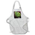 Apron - Macro of a fern frond unfurling as a raindrop hangs reflecting trees. Stamp City - plant