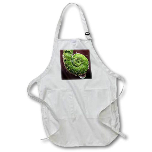Apron - Macro of a fern frond unfurling as a raindrop hangs reflecting trees. Stamp City - plant