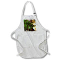 Apron - Macro photograph of a fern leaf laying on top of autumn leaves. Stamp City - plant