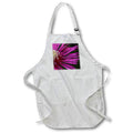 Apron - Macro photograph of the right side of a pink ice plant flower. Stamp City - flowers