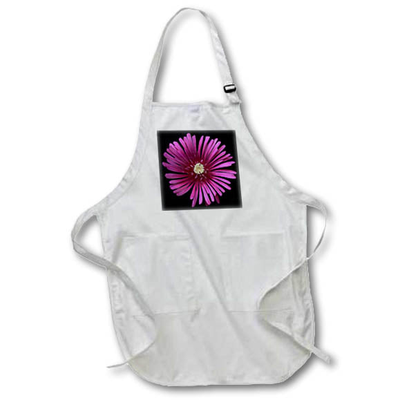 Apron - Macro photograph of a pink ice plant flower on a black background. Stamp City - flowers