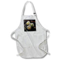 Apron - Macro photograph of ripe ground cherries ready to be eaten. Stamp City - fruit