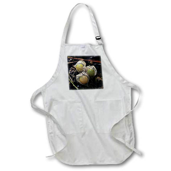 Apron - Macro photograph of ripe ground cherries ready to be eaten. Stamp City - fruit