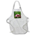 Apron - Macro photograph of a pink lenten rose facing downward. Stamp City - flower