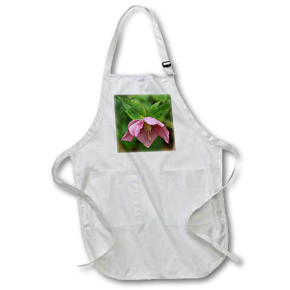 Apron - Macro photograph of a pink lenten rose facing downward. Stamp City - flower