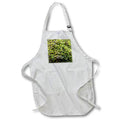 Apron - Macro photograph of a blanket of green moss. Stamp City - nature