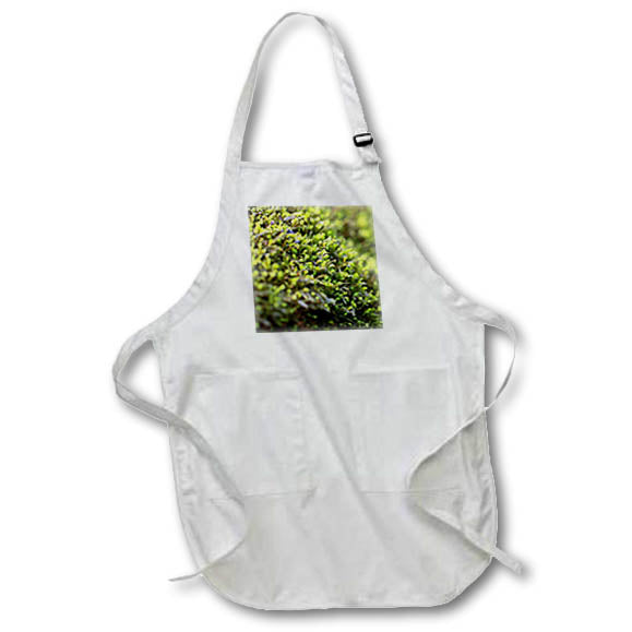 Apron - Macro photograph of a blanket of green moss. Stamp City - nature