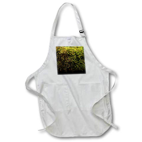 Apron - A macro photograph of green moss growing on a boulder. Stamp City - nature