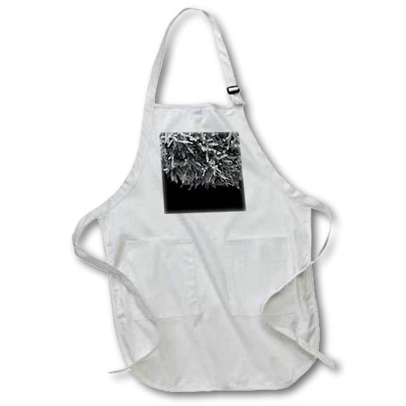 Apron - A black and white macro photograph of moss. Stamp City - nature - black and white