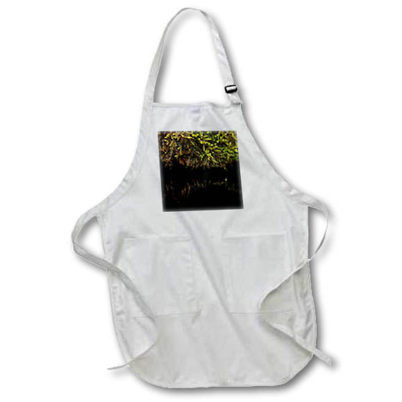 Apron - A macro photograph of moss growing on a rock reflecting in a pond. Stamp City - nature