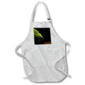 Apron - A macro photograph of the mossy side of a rock. Stamp City - nature