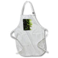 Apron - A macro photo of moss growing on a boulder against a white background. Stamp City - nature