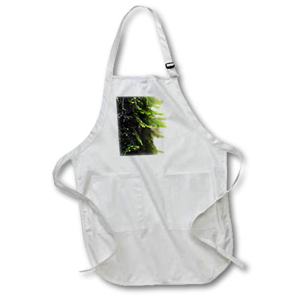 Apron - A macro photo of moss growing on a boulder against a white background. Stamp City - nature